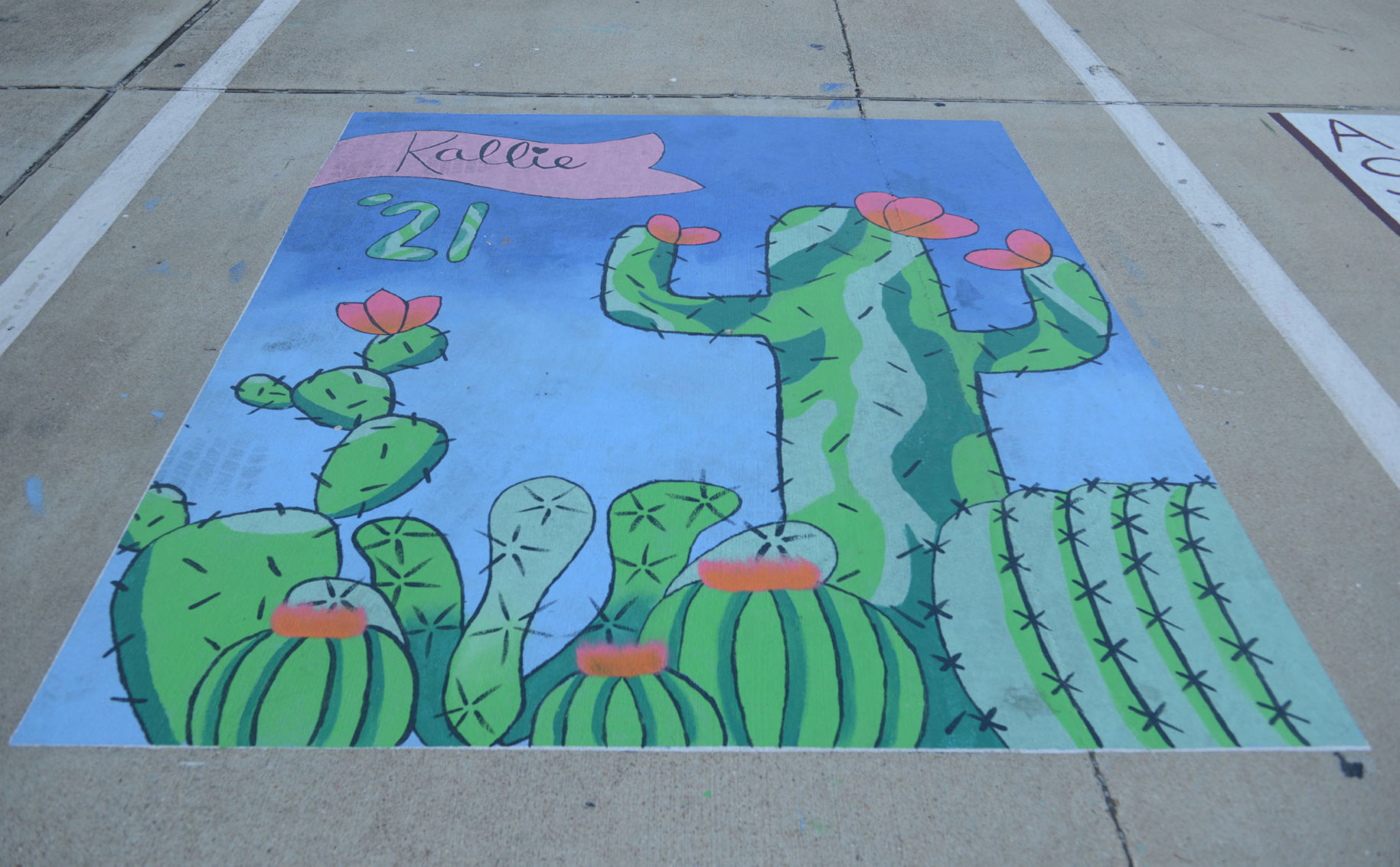 A&M Consolidated HS painted parking spots